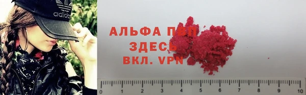 гидра Бронницы