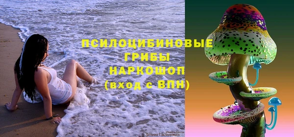 гидра Бронницы