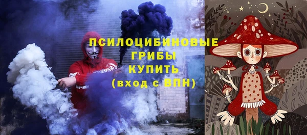 гидра Бронницы