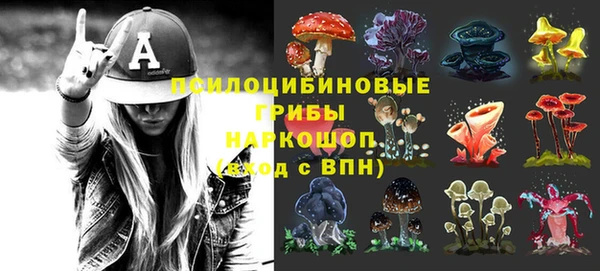 MDMA Бородино