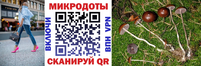 Псилоцибиновые грибы мицелий  площадка клад  МЕГА как войти  Гремячинск  наркота 
